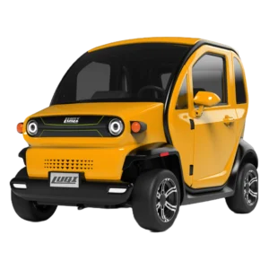 Phat Boy EV 300